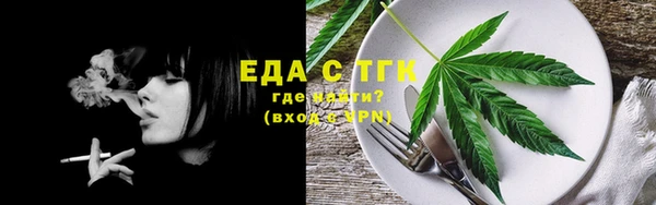 индика Елизово
